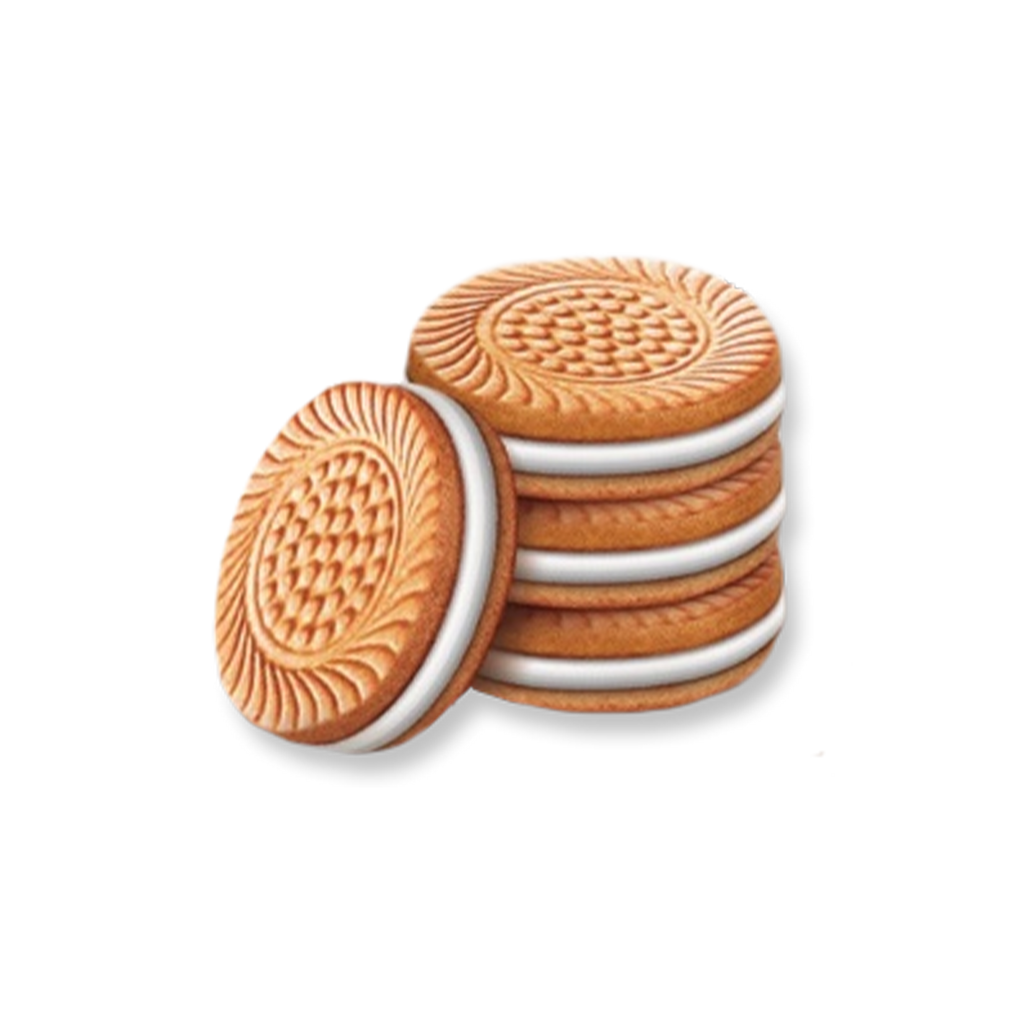 GALLETAS BIEN VAINILLA